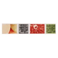 Cenefa decorativa para pared - Quimbaya 5006